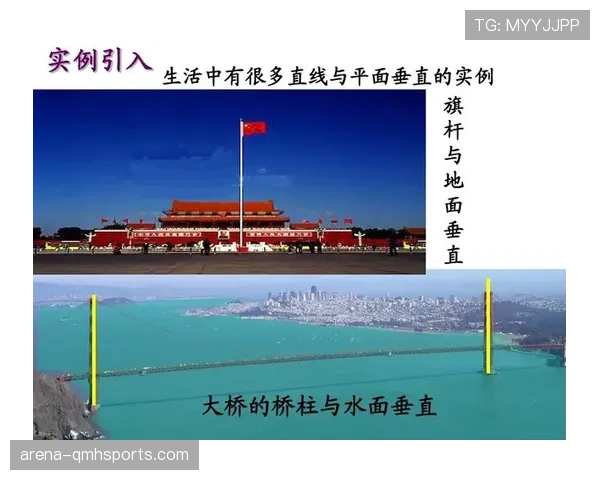 深度解析球出界判定规则在比赛中的判定标准